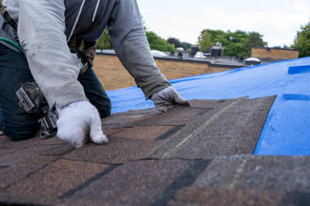 Best Roof Gutter Cleaning  in Mount Ida, AR